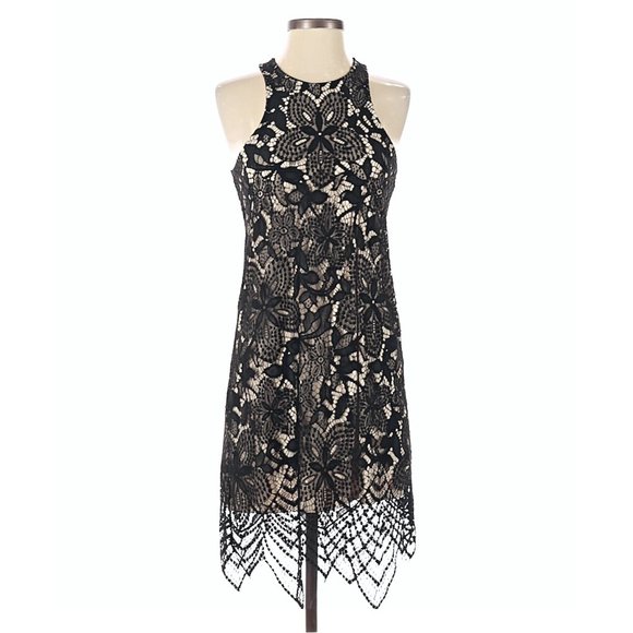 Express Women's Black Sheer Floral Lace Contrast Scalloped Hem Sheath Dress - Picture 5 of 13